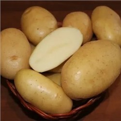 Картофель местный Крепыш 5кг/сетка
