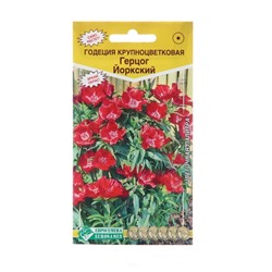 Семена цветов Годеция крупноцветковая "Герцог Йоркский", 0,1 г
