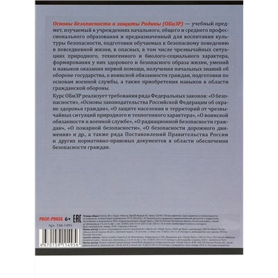 Тетрадь КЛЕТКА 48л. ОБиЗР «МАНГА» (Т48-1495) стандарт, твин-лак