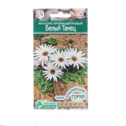 Семена цветов  Арктотис крупноцветковый "Белый Танец", 10 шт