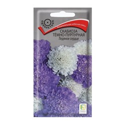 Семена цветов Скабиоза темно-пурпурная "Ледяное сердце" 10 шт
