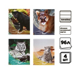Комплект тетрадей из 4 шт, 96 листов, линейка, "Дикие кошки", обложка мелованный картон, блок №2, белизна 75% (серые листы)