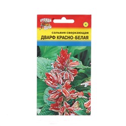 Семена цветов Сальвия "Дварф", Красно-белая, 0,03 г