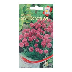 Семена цветов Армерия "Великолепная", 65 шт