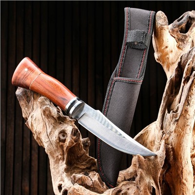 Нож охотничий "Торир", рукоять дерево, лезвие 15 см
