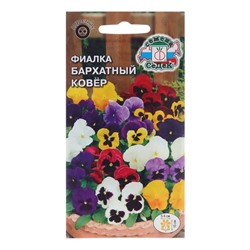 Семена цветов Фиалка" Бархатный ковер",Евро, 0,05 г