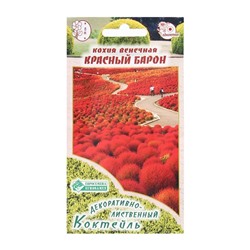 Семена Цветов Кохия венечная Красный Барон, 0,3 г