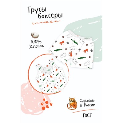 Трусы Боксеры Лимпопо детские