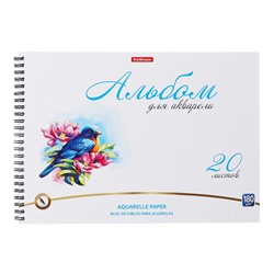 Альбом для акварели А4, 20 листов, блок 180 г/м², на спирали, Erich Krause "Birds", экстра белая, твердая подложка, перфорация для отрыва