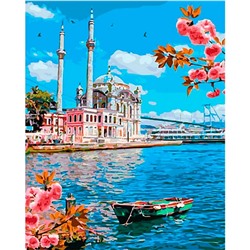 Картина по номерам Стамбул 40х50 GX 37783 (Стамбул)