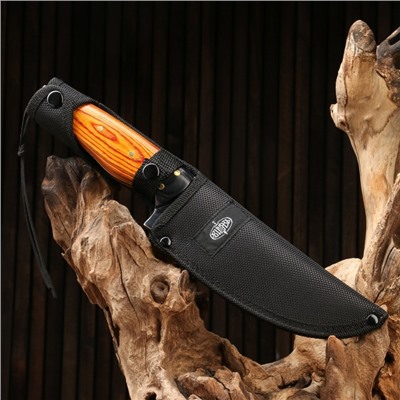 Нож охотничий "Телец" сталь - 40х13, рукоять - дерево, 29 см
