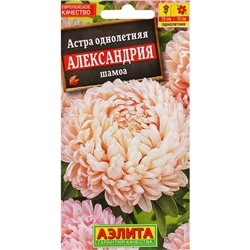 Семена Цветов Астра "Александрия шамоа", ц/п, 0,1 г
