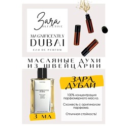 Magnificentely Dubai / Zara