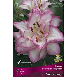 Лилия восточная махровая Бьютитренд (белый с лавандово-розовой каймой и розовым крапом) 1шт Поиск