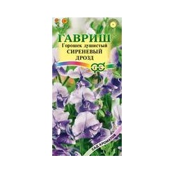 Цветы Душистый горошек Сиреневый дрозд (одн,180см)  0,5 гр Гавриш