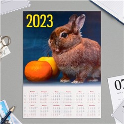 Календарь листовой "Символ года - 2023 - 6" А4
