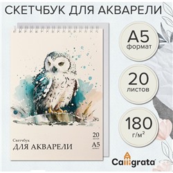 Скетчбук-блокнот для акварели А5, 20 листов на гребне, Calligrata TOP, обложка мелованный картон, блок 180 г/м2