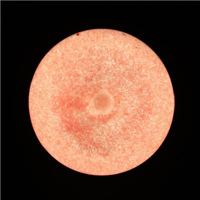 Краска акриловая люминесцентная (светящаяся в темноте), LUXART Lumi, 20 мл, красно-оранжевый, красно-оранжевое свечение (L6V20)