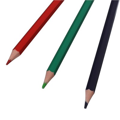 Цветные карандаши 12 цветов ZOO, пластиковые, шестигранные