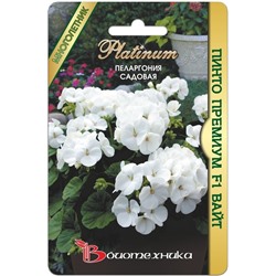 Цветы Пеларгония Пинто Премиум F1 Вайт садовая (30-35см,диам.10-12см,белый) БТ