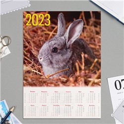 Календарь листовой "Символ года - 2023 - 9" А4