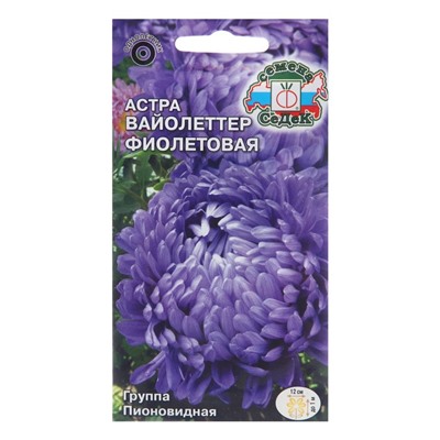 Семена цветов Астра "Вайолеттер фиолетовая", Евро, 0,2 г