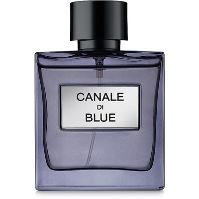 Fragrance World Canale Di Blue edp for man 100 ml