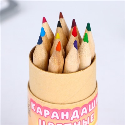 Набор цветных карандашей мини в тубусе «Девчуля», 12 шт, с точилкой