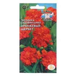 Семена цветов Гвоздика "Оранжевый щербет", Евро, 0,1 г