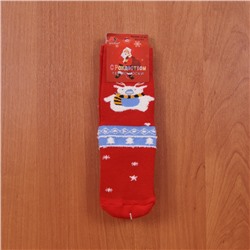 Носки теплые С Рождеством (размер 37-41) арт f303-5