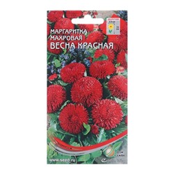 Семена цветов Маргаритка "Весна красная", 250 шт