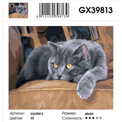 GX 39813