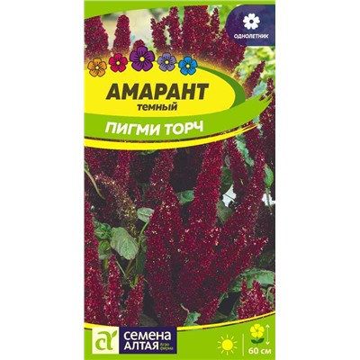 Амарант Пигми Торч темный Сем.Алтая