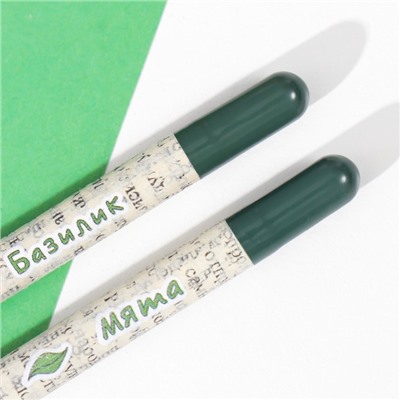 Растущие подарочные карандаши mini "Базилик + Мята" набор 2 шт.