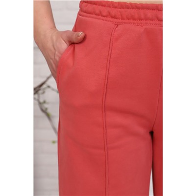 Женские брюки из петельчатого футера трехнитки Палитра Текстиль