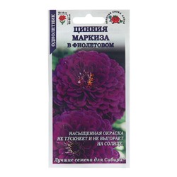 Семена цветов Цинния "Маркиза в Фиолетовом", 0,2 г