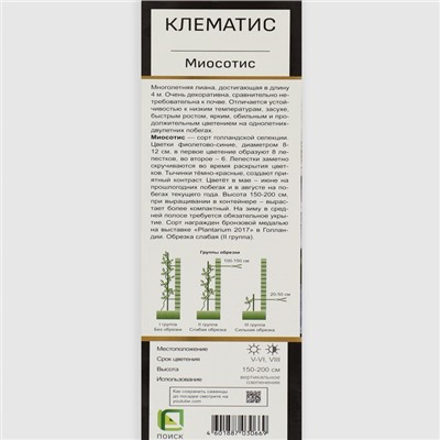 Клематис крупноцветковый Люкс "Миосотис", 1 шт, туба, Весна 2024